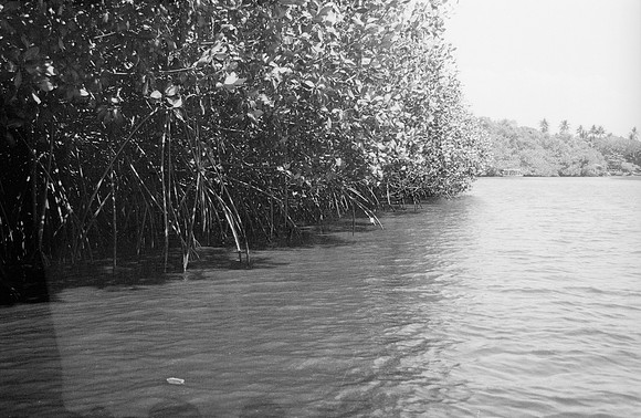 10 Guilia Trobbiani - Fomapan 100 por Arca Film Lab (Abril 2025) - Rollo 0933
