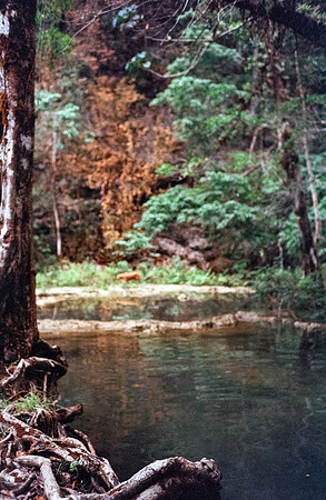 24 Rodrigo Lorenz - Kodak Gold 200 por Arca Film Lab (Julio 2024) - Rollo 0142
