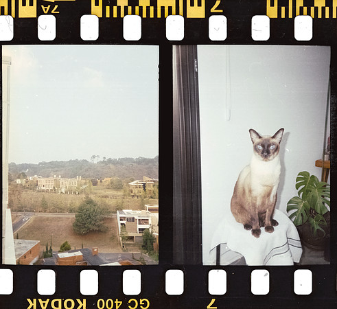 00011 Isa Valladares - Kodak Ultramax 400 - Arca Film Lab (Noviembre 2024) - Rollo 0432
