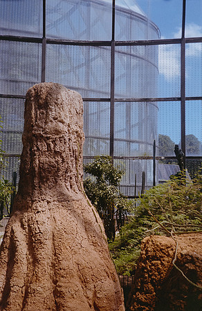16 Elena Santa María - Kodacolor 200 por Arca Film Lab (Febrero 2025) - Rollo 0708