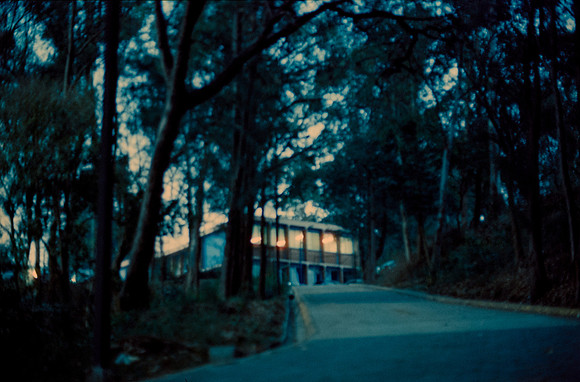 36 Elliot Morales - Cinestill 800T por Arca Film Lab (Mayo 2025) - Rollo 1001