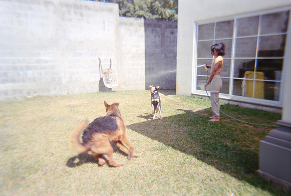 11 Andrea Domíngues - Fujifilm 400 por Arca Film Lab (Mayo 2024) - Rollo 0071