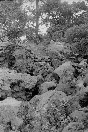 10 Rodrigo Bracamonte - Fujifilm Acros 100 por Arca Film Lab (Marzo 2025) - Rollo 0789