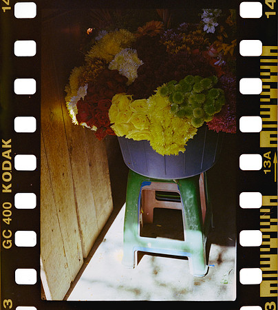 13 Yasemin Tocpan - Kodak Ultramax 400 por Arca Film Lab (Octubre 2024) - Rollo 0392