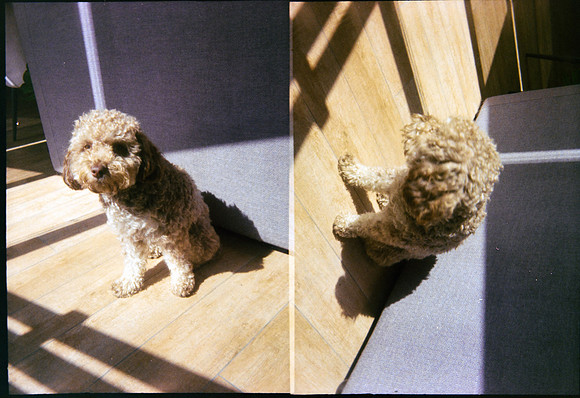 14 María Jimena Sánchez - Kodak Gold 200 por Arca Film Lab (Mayo 2024) - Rollo 0069