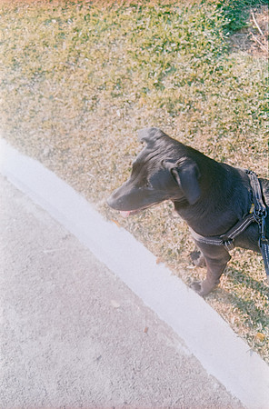 08 Andrea Osorio - Kodak Gold 200 por Arca Film Lab (Mayo 2025) - Rollo 1074