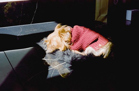 05 Rafael Peyré - Amber D100 por Arca Film Lab (Marzo 2025) - Rollo 0834