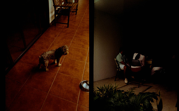27 Jimena Sánchez - Kodak Gold 200 por Arca Film Lab (Mayo 2025) - Rollo 0991