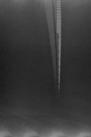 31 María Fernanda Santizo  - B&W Kodak Portra 400 con Rayos X por Arca Film Lab (Abril 2024)