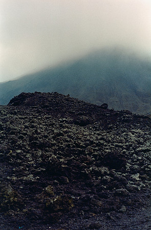 06 Ricardo Rodas - Kodak Portra 400 por Arca Film Lab (Enero 2025) - Rollo 0655
