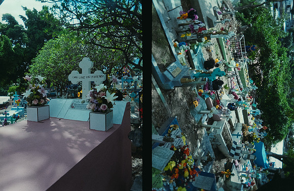 15 Melissa Paises - Kodak 200 por Arca Film Lab (Febrero 2025) - Rollo 0687