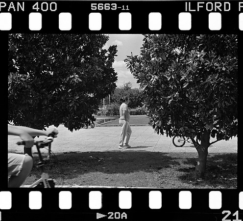 15 José Paulo Pérez - Ilford Pan 400 Film Lab (Agosto 2024) - Rollo 0285