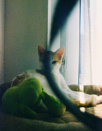 15 Jurgen Aldana - Kodak Gold 110 por Arca Film Lab (Febrero 2025) - Rollo 0707