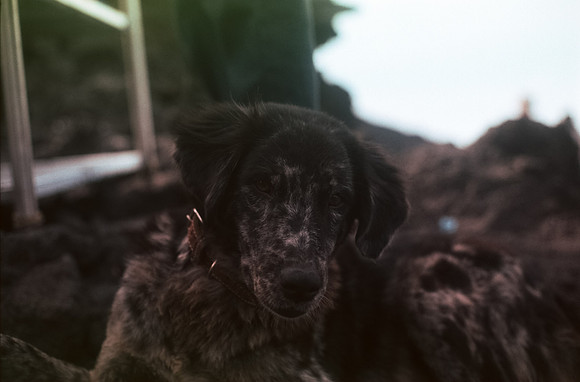 27 Rodrigo Bracamonte - Fujifilm Velvia 50 por Arca Film Lab (Enero 2025) - Rollo 0621