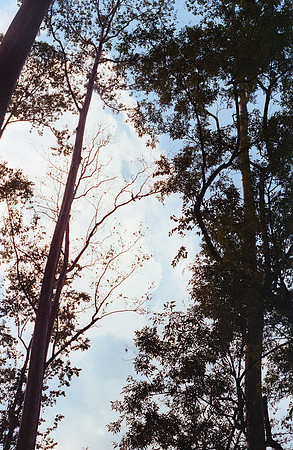 21 Mariana Cabrera - Fujifilm 400 por Arca Film Lab (Septiembre 2024) - Rollo 0341