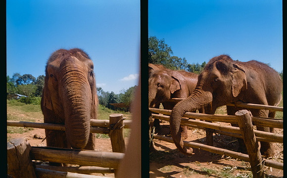 23 Karla Figueroa - Kodak Gold 200 por Arca Film Lab (Mayo 2025) - Rollo 1037