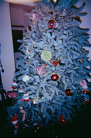 24 Nicolle Díaz - Kodak Ultramax 400 por Arca Film Lab (Noviembre 2024) - Rollo 0456