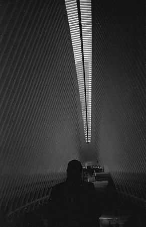 25 Desirée Argueta - Fujifilm Acros 100 por Arca Film Lab (Enero 2025) - Rollo 0571