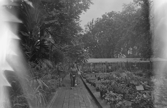 18 Elida Arreaga - Ilford HP5+ 400 por Arca Film Lab (Septiembre 2024) - Rollo 0361