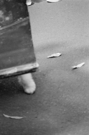 11 Carmen Tórres - Ilford HP5+ 400 por Arca Film Lab (Septiembre 2024) - Rollo 0334