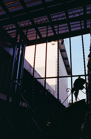 04 Francisco Chang - Kodak Ultramax 400 por Arca Film Lab (Noviembre 2024) - Rollo 0470