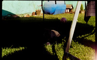 15 Erick Galindo - Kodak Ultramax 400 por Arca Film Lab (Febrero 2025) - Rollo 0769