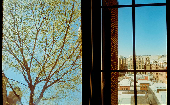 02 Jimena Sánchez - Kodak Gold 200 por Arca Film Lab (Mayo 2025) - Rollo 0990