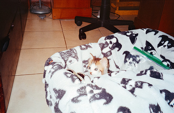 12 Lucía Paíz - Kodak Gold 200 - Arca Film Lab (Octubre 2024) - Rollo 0380