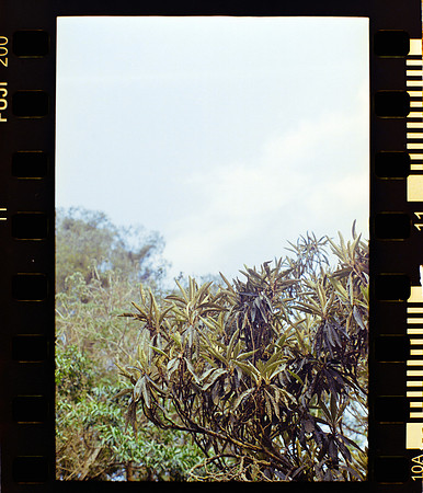 11 Ronald Ottoniel - Fujifilm 200 por Arca Film Lab (Mayo 2024) - Rollo 0089