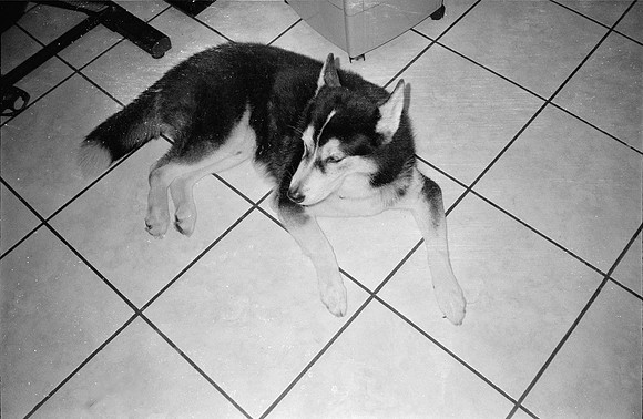 02 Marcelo Domínguez - Ilford HP5+ 400 por Arca Film Lab (Diciembre 2024) - Rollo 0485