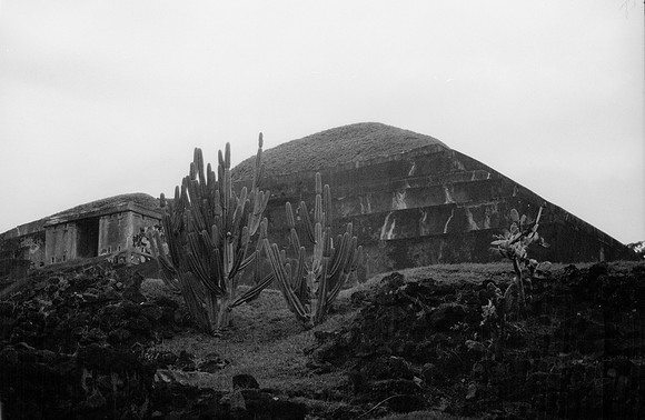 27 Guilia Trobbiani - Fomapan 100 por Arca Film Lab (Abril 2025) - Rollo 0933