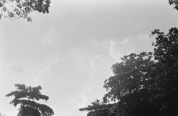 17 Christopher Robles - Ilford HP5+ 400 por Arca Film Lab (Febrero 2025) - Rollo 0680