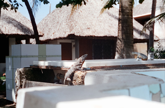 26 Ronald Ottoniel - Cinestill 400D por Arca Film Lab (Septiembre 2024) - Rollo 0325