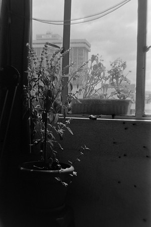 32 Pablo Josué Noack - Ilford HP5 Plus 400 por Arca Film Lab (Mayo 2024) - Rollo 0076