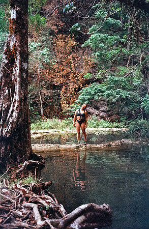 25 Rodrigo Lorenz - Kodak Gold 200 por Arca Film Lab (Julio 2024) - Rollo 0142