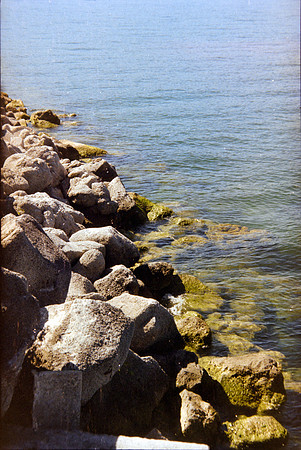 03 Constanza Close - Kodak Gold 200 por Arca Film Lab (Mayo 2024) - Rollo 0063