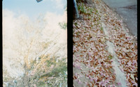 15 Natalia Mendoza - Kodak Gold 200 por Arca Film Lab (Abril 2025) - Rollo 0931