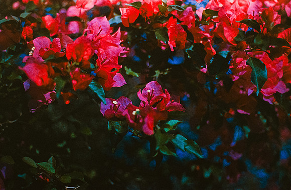 07 Carlos Quintero - Kodak Ektachrome 100 por Arca Film Lab (Marzo 2025) - Rollo 0772