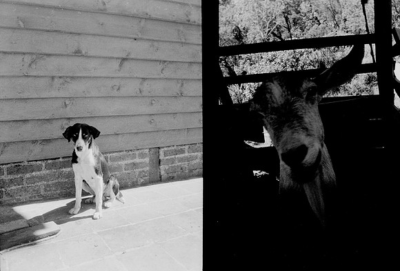 14 Melissa Paises - Ilford HP5+ 400 por Arca Film Lab (Febrero 2025) - Rollo 0686