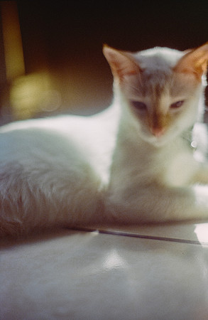35 Abraham Castillo - Fujifilm 400 por Arca Film Lab (Junio 2025) - Rollo 1118