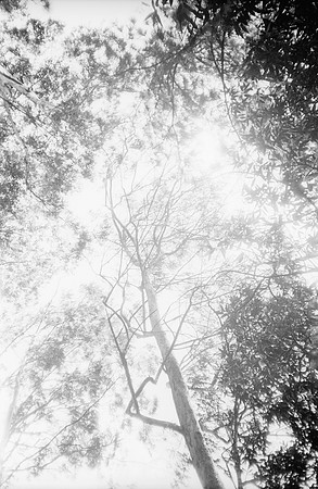 03 Miguel Sánchez - Fomapan 100 por Arca Film Lab (Mayo 2025) - Rollo 1015