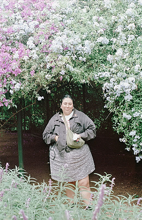 28 Luis Pablo Pérez - Kodak Aerocolor IV por Arca Film Lab (Diciembre 2024) - Rollo 0510