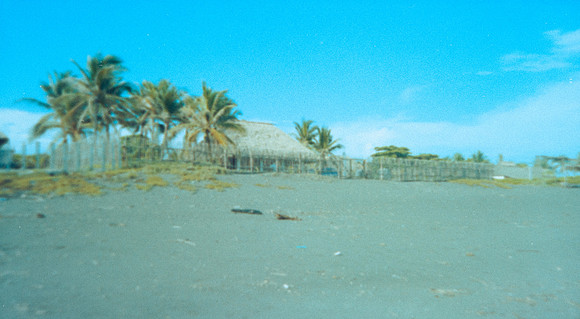 12 Alexander Daum - Kodak Gold 200 por Arca Film Lab (Abril 2025) - Rollo 0898