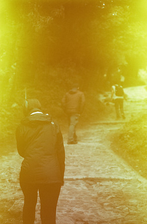 01 Rodrigo Bracamonte - Fujifilm Velvia 50 por Arca Film Lab (Enero 2025) - Rollo 0621