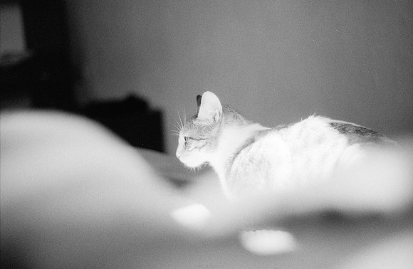 10 Valeria Minera - Kentmere Pan 400 por Arca Film Lab (Abril 2025) - Rollo 0960