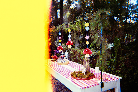 01 María Andrea Santa Cruz - Kodak Ultramax 400 por Arca Film Lab (Diciembre 2024) - Rollo 0550