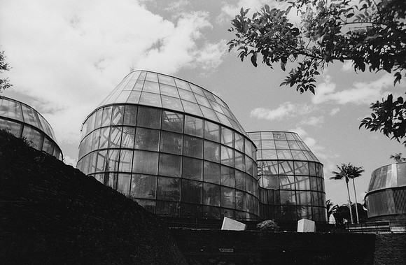 04 Ovald Barrientos - Fomapan 100 por Arca Film Lab (Marzo 2025) - Rollo 0856