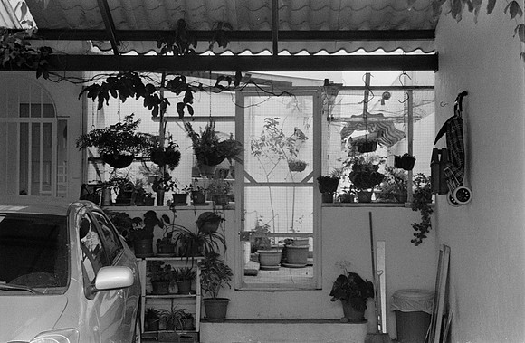 31 Fernando Peña - Ilford HP5 Plus 400 por Arca Film Lab (Enero 2024) - Rollo 0245