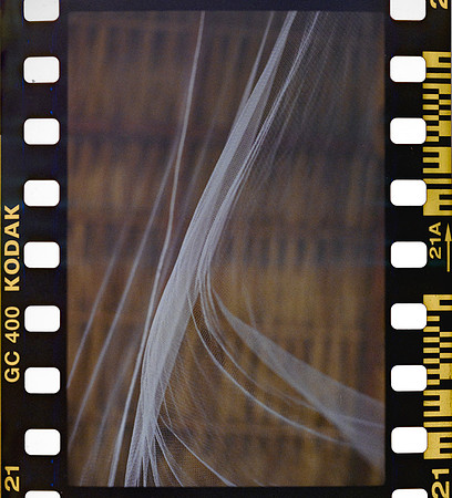 23 Yasemin Topcan - Kodak Ultramax 400 por Arca Film Lab (Octubre 2024) - Rollo 0391