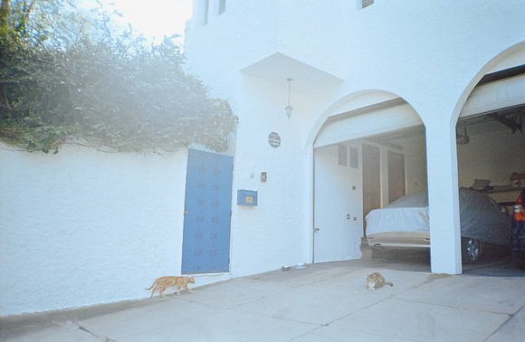 23 Adriana Obiols - Fujifilm 200 por Arca Film Lab (Enero 2025) - Rollo 0597